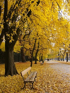 F様/「黄金の秋」ポーランドを知る！